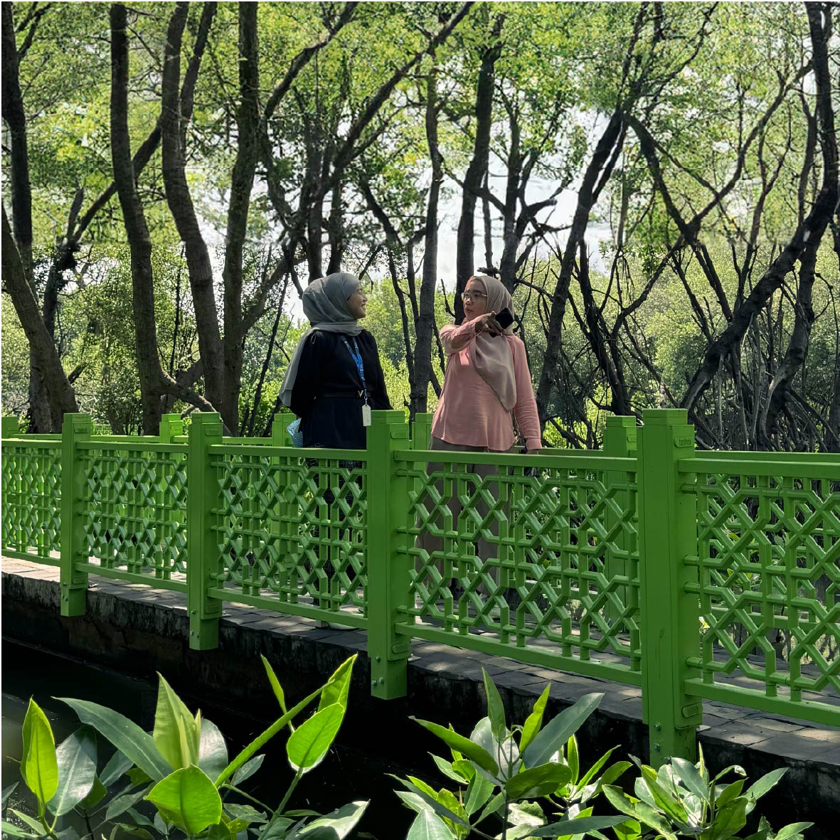 Image Export - Gallery 2-02