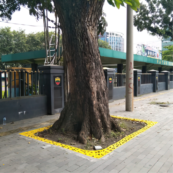 (Tree Grate) Image Export-128 (Tree Grate) Image Export-128
