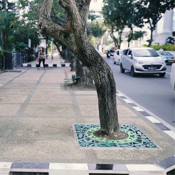 (Tree Grate) Image Export-129 (Tree Grate) Image Export-129